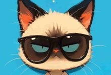 12月07日每日SSR/V2Ray/Clash可用节点 | 2025年44条免费订阅链接 - 玩转节点